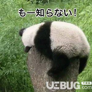 抖音日语关西版本plus表情包分享介绍