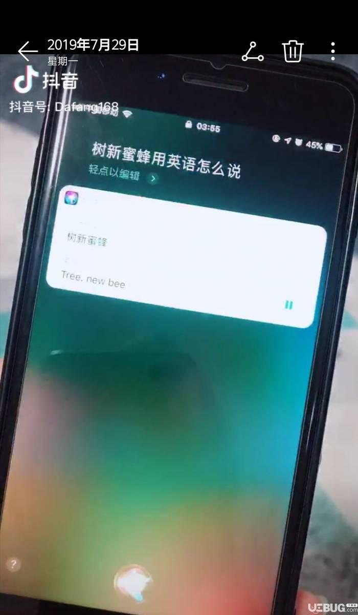 抖音上树新蜜蜂是什么梗 树新蜜蜂用英语怎么说