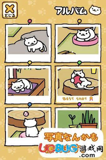 猫咪后院手游官方下载
