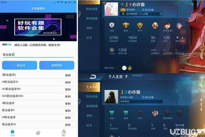王者重复名下载