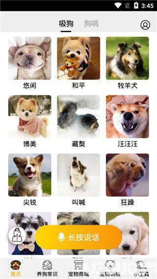 狗语翻译器破解版下载