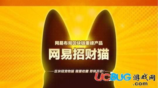 网易招财猫app官方下载
