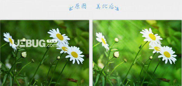2345看图王v10.2.0.8989免费版【2】