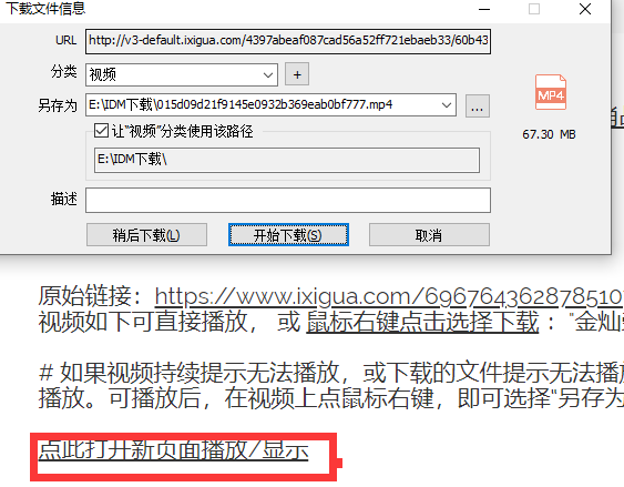 图5：下载视频界面