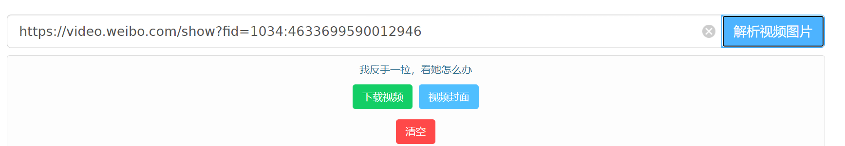 图2：解析视频界面