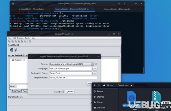 Ghidra(反汇编工具)v9.0.4中文版【4】