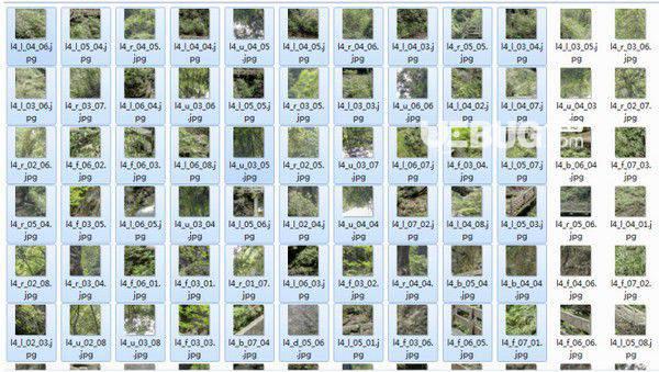 猪猪全景图下载器v1.7.7免费版【8】