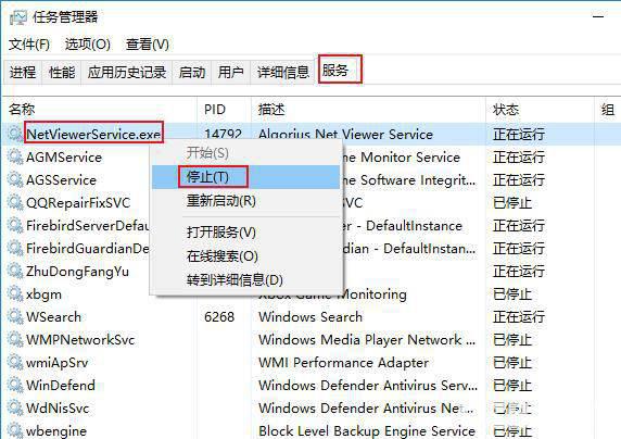 Algorius Net Viewer破解版下载