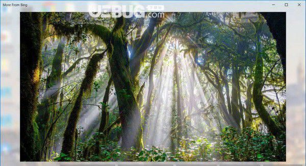 Windows Spotlight Tools(Win聚焦工具)v1.7.1免费版【2】