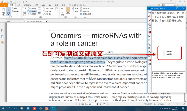 XTranslator(文献翻译工具)v2.1.0.1免费版【13】