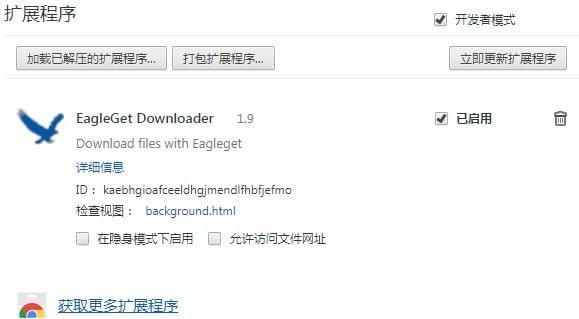 EagleGet Downloader(猎鹰下载插件)