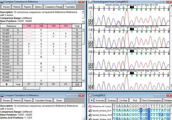 gene codes sequencher(DNA序列分析入拼接软件)