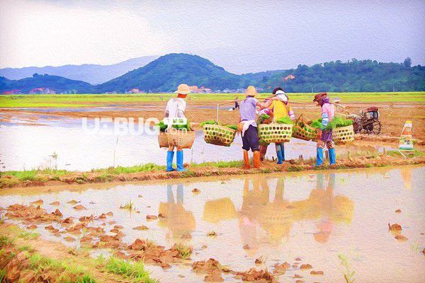 Topaz Simplify(PS图片增强插件)v4.1.1免费版【2】
