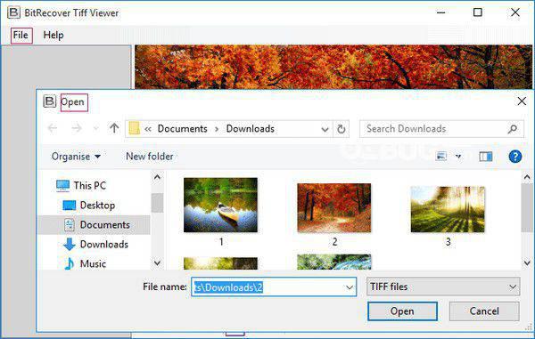 BitRecover Tiff Viewer(TIFF文件查看器)v2.2免费版【1】