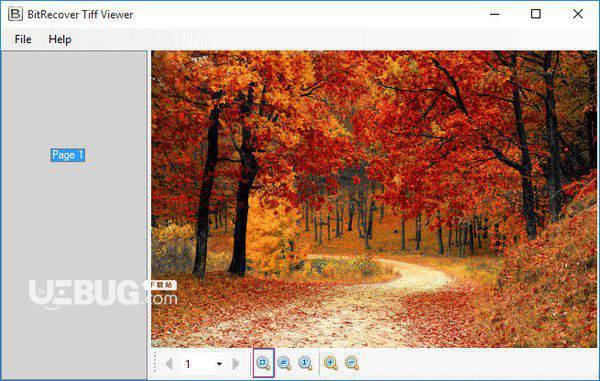 BitRecover Tiff Viewer(TIFF文件查看器)v2.2免费版【2】