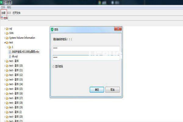 ShCrypt(加密软件)