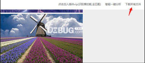 图流看图助手插件v1.3.8免费版【3】
