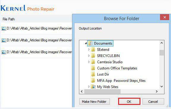 Kernel Photo Repair(图片修复软件)v20.0免费版【4】