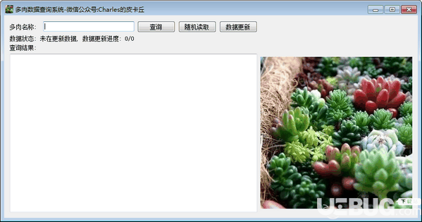 多肉数据查询系统