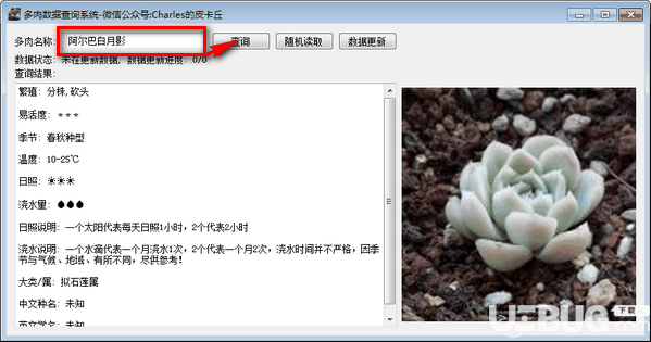 多肉数据查询系统v0.1.0免费版【2】