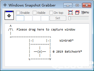 Windows Snapshot Grabber(屏幕截图软件)